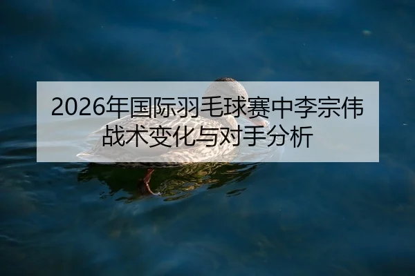 2026年国际羽毛球赛中李宗伟战术变化与对手分析