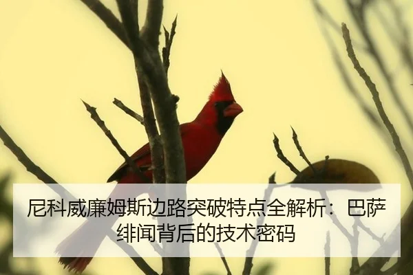ni-ke-wei-lian-mu-si-bian-lu-tu-po-te-dian-quan-jie-xi-ba-sa-fei-wen-bei-hou-de-ji-shu-mi-ma-2-510.jpg