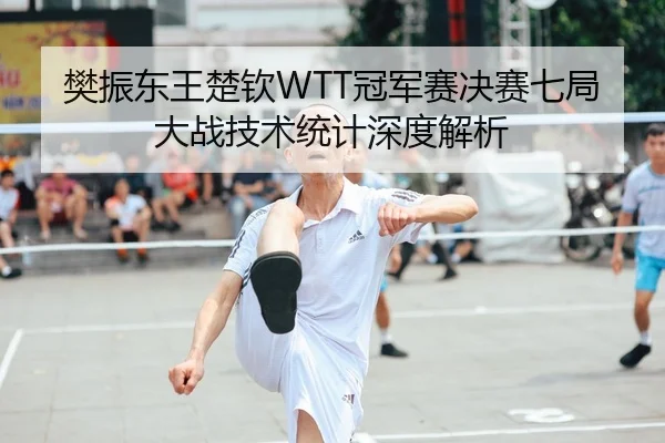 樊振东王楚钦WTT冠军赛决赛七局大战技术统计深度解析