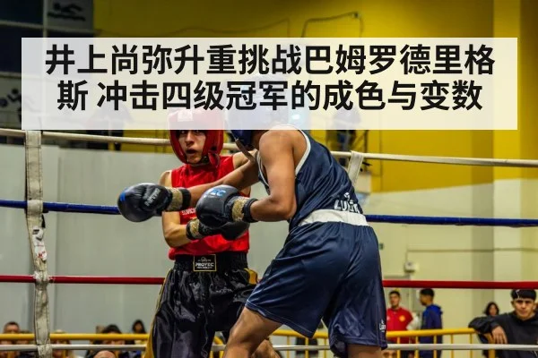 井上尚弥升重挑战巴姆罗德里格斯 冲击四级冠军的成色与变数