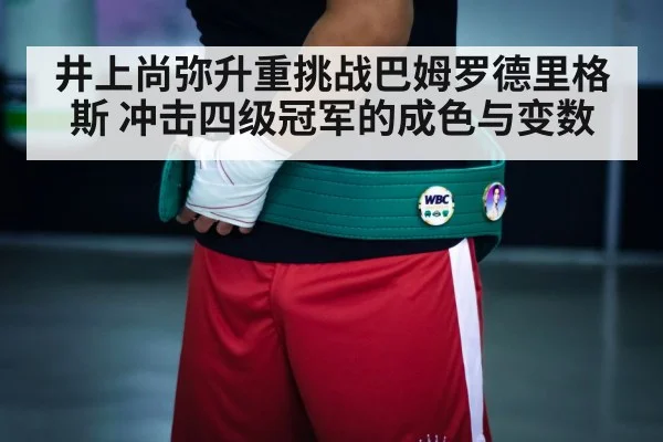 boxing championship belt