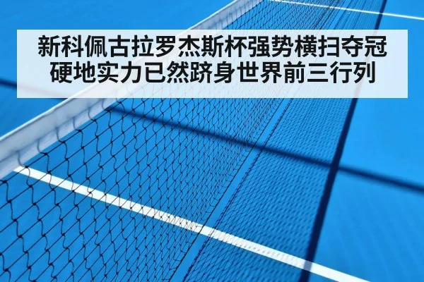 hard court tennis match